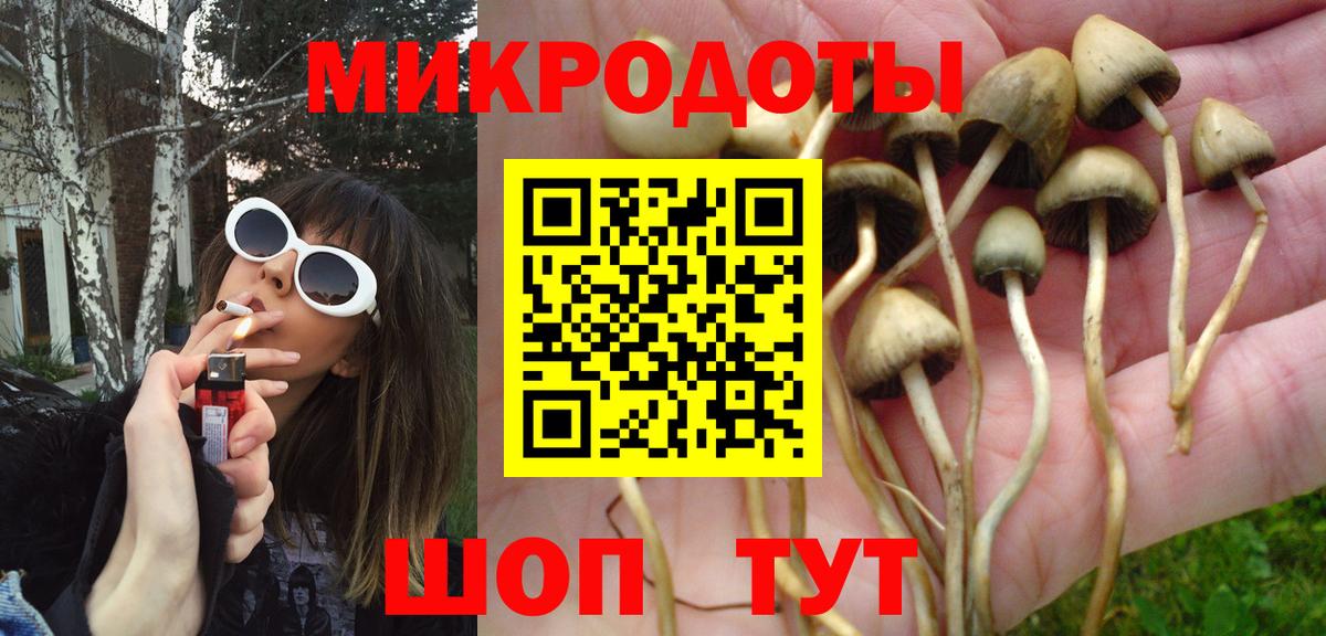 купить  сайты  Вход с VPN  Новый Уренгой  Псилоцибиновые грибы GOLDEN TEACHER  Псилоцибиновые грибы мухоморы 