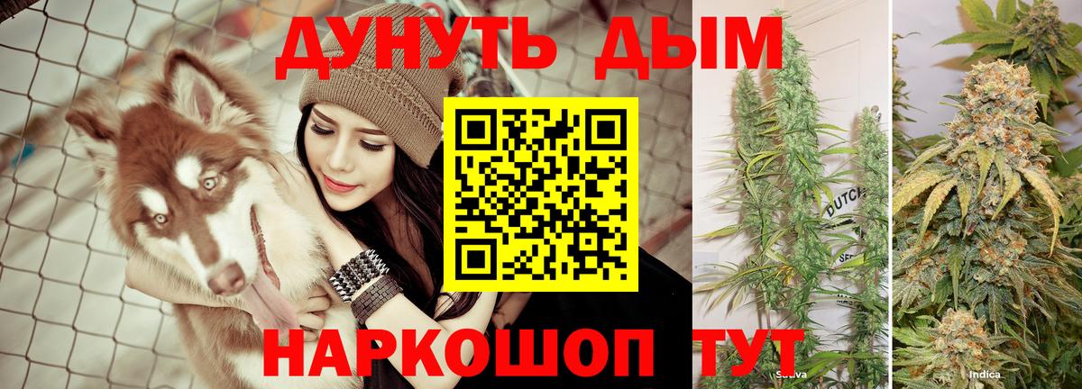 МАРИХУАНА конопля Новый Уренгой